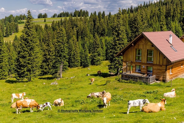 Foto van Chalet in Karinthië met sauna bij skipistes - Vakantiehuis in Sankt Gertraud-Weinebene - ExteriorSummer