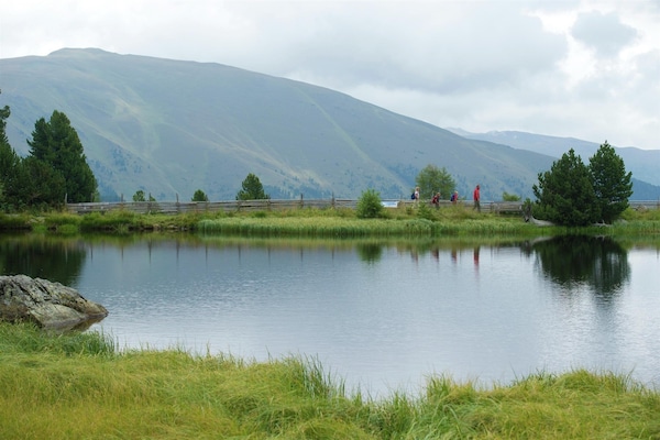 Foto van Gezellig appartement nabij Murkarspitze - Vakantiehuis in Bad Kleinkirchheim - AreaSummer20KM
