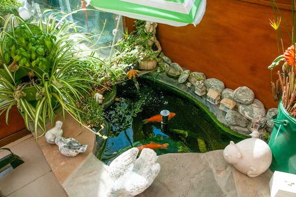 Foto van Vakantiehuis in Houyet voor 6 personen - Vakantiehuis in Houyet - Ambiance