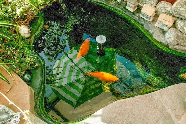 Foto van Vakantiehuis in Houyet voor 6 personen - Vakantiehuis in Houyet - Ambiance