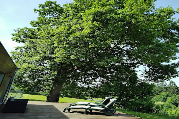 Foto van Vakantiehuis in Waimes met tuin - Vakantiehuis in Waimes - TerraceBalcony