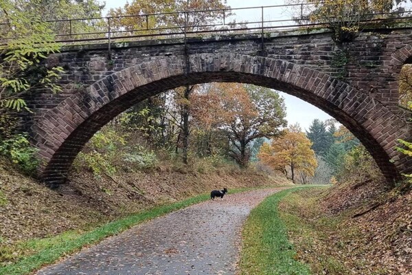 Foto van Vreedzaam boschalet - Vakantiehuis in Wechelderzande (Lille) - AreaSummer20KM