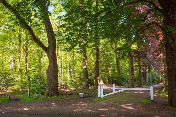 Foto van Familievilla in Ferrières - Vakantiehuis in Ferrieres - AreaSummer20KM