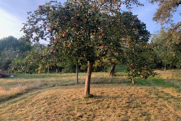 Foto van Huis in Sint Jansrade met zwembad - Vakantiehuis in Aubel Ardennes - Wellness