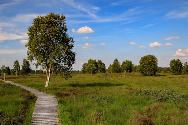 Foto van Boerderijverblijf in Ondenval - Vakantiehuis in Ondenval/Waimes - AreaSummer20KM