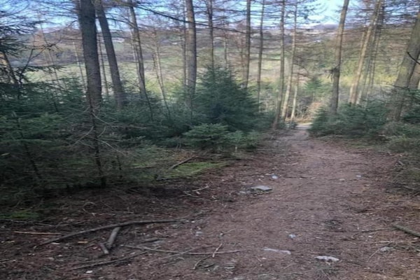 Foto van Wellnessretraite in Ovifat - Vakantiehuis in Waimes - Ovifat - AreaSummer20KM
