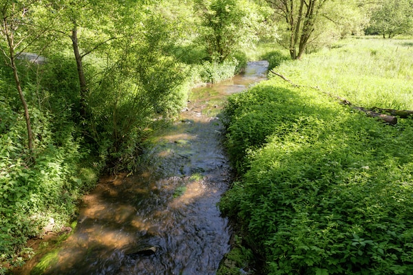 Foto van Ruime villa in Malmedy nabij het bos - Vakantiehuis in Malmédy-Boussire - AreaSummer1KM
