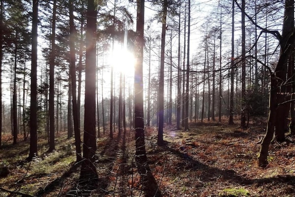 Foto van Historische schuilplaats in Exbomont - Vakantiehuis in Stoumont - AreaSummer20KM