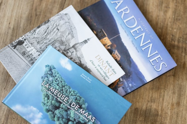 Foto van Herenhuis in Hastière par Delà met zwembad - Vakantiehuis in Hastière par Dela - Ambiance