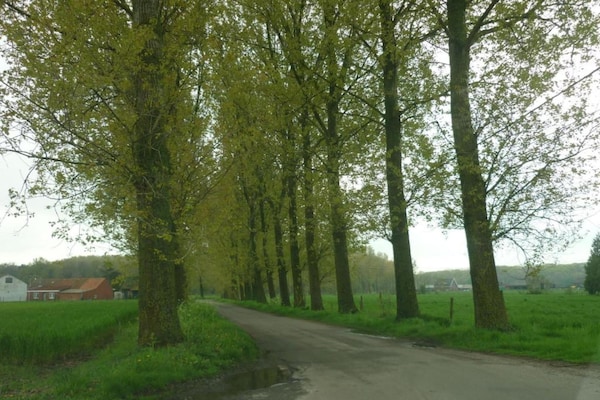 Foto van Vakantiehuis in Cul-des-Sarts nabij Forest - Vakantiehuis in Cul des Sarts - AreaSummer20KM