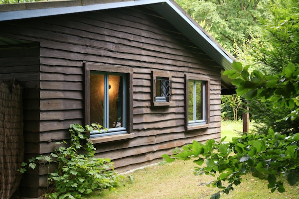Foto van Modern chalet met uitzicht - Vakantiehuis in Humain - ExteriorSummer