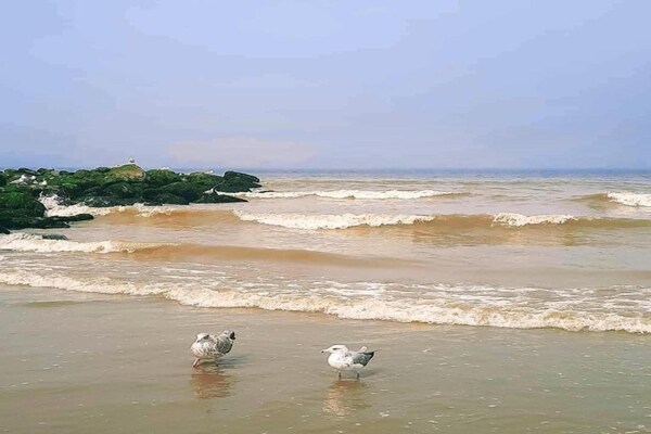 Foto van Appartement in Nieuwpoort vlakbij het strand - Vakantiehuis in Nieuwpoort - AreaSummer20KM