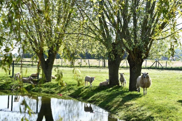 Foto van Appartement in de buurt van Marina Nieuwpoort en zwembad - AreaSummer20KM