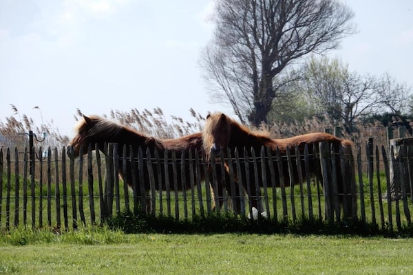Foto van Appartement in de buurt van Marina Nieuwpoort en zwembad - AreaSummer20KM