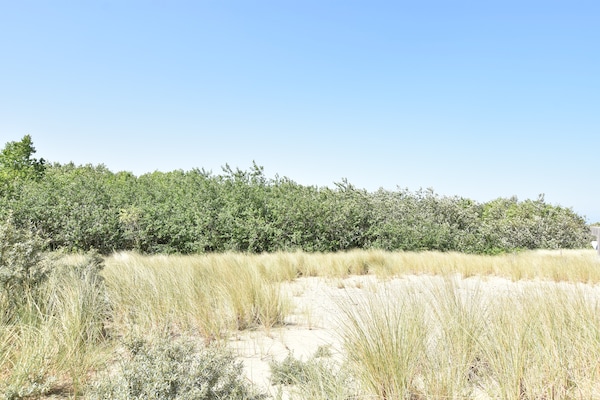 Foto van Heldere kustvakantie voor gezinnen - Vakantiehuis in De Panne - ViewSummer