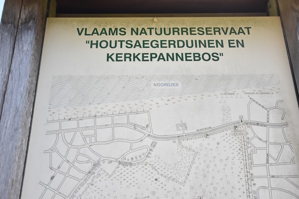Foto van Heldere kustvakantie voor gezinnen - Vakantiehuis in De Panne - AreaSummer1KM