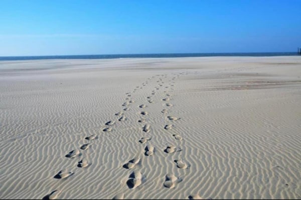 Foto van Heldere kustvakantie voor gezinnen - Vakantiehuis in De Panne - AreaSummer20KM