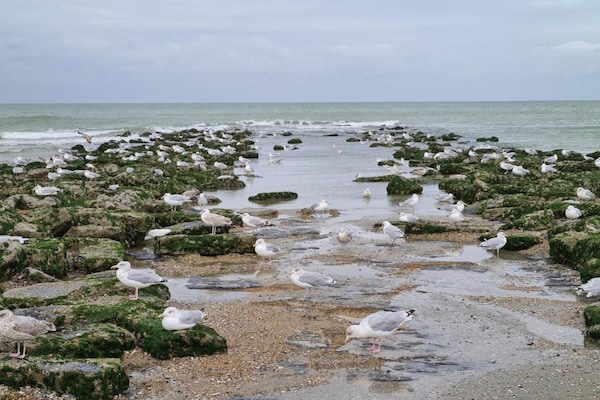 Foto van Appartement in België 50m van de zee - Vakantiehuis in Koksijde - AreaSummer1KM