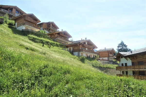 Foto van Aangenaam appartement in Versonnaz - Vakantiehuis in Veysonnaz - AreaSummer1KM