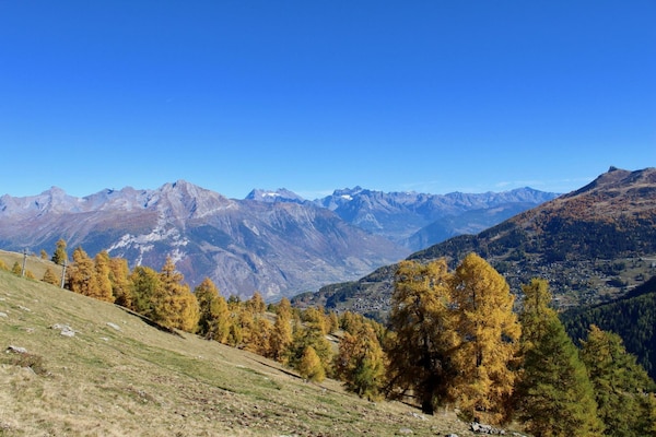 Foto van Luxe appartement met betaalde sauna - Vakantiehuis in Haute-Nendaz - ViewSummer
