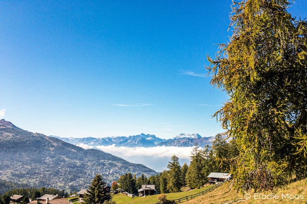 Foto van Chalet Nendaz Ski-In/Ski-Out Prarion - Vakantiehuis in Haute-Nendaz - ViewSummer