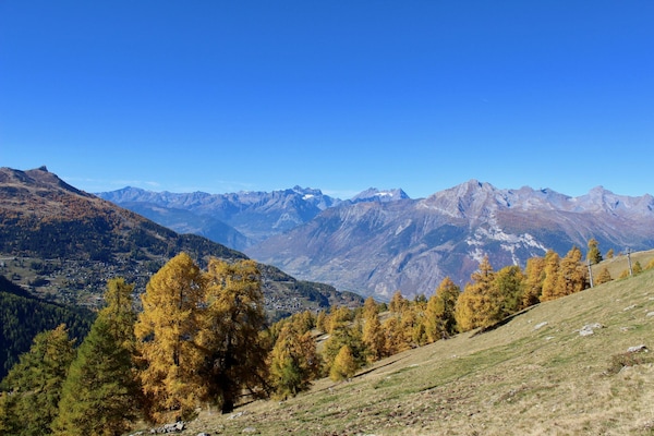 Foto van Appartement in de buurt van Piste de Tracouet - Vakantiehuis in Haute-Nendaz - ViewSummer