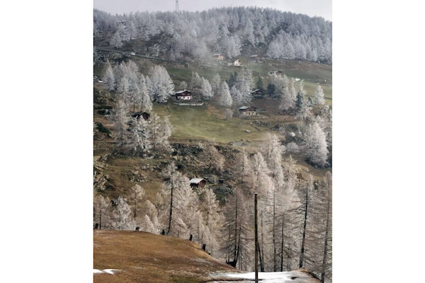 Foto van Vakantiehuis in  - Vakantiehuis in  - Untagged