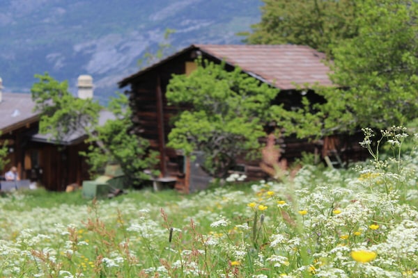 Foto van 1 in Chalet Primula - Vakantiehuis in Bürchen - Untagged