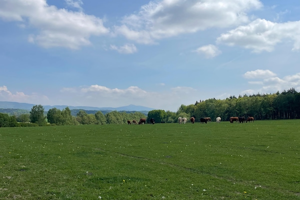 Foto van Vakantiehuis Knežice bij Jested Ski - Vakantiehuis in Jablonné V Podjestedí - AreaSummer5KM