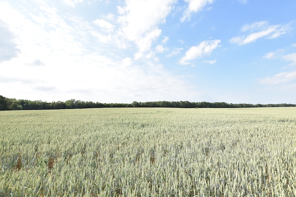 Foto van Gezellig appartement in Brusow met tuin - Vakantiehuis in Kröpelin - AreaSummer1KM