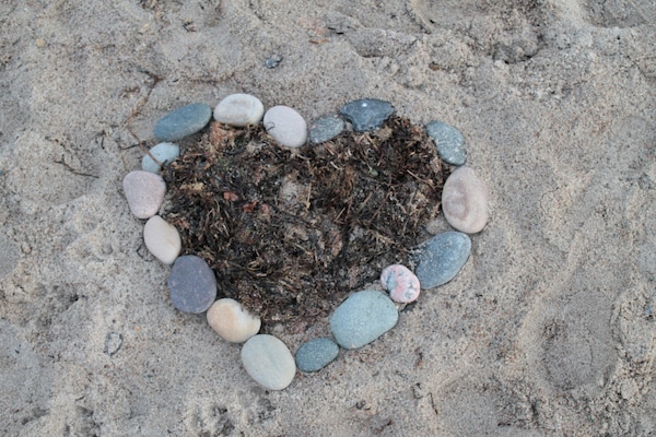 Foto van Bungalow in Börgerende-Rethwisch met sauna - Vakantiehuis in Börgerende-Rethwisch - Ambiance