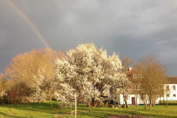 Foto van Luxe vakantieappartement in Boddin met tuin - Vakantiehuis in Walkendorf OT Boddin - AreaSummer1KM