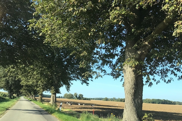 Foto van Luxe vakantieappartement in Boddin met tuin - Vakantiehuis in Walkendorf OT Boddin - AreaSummer1KM