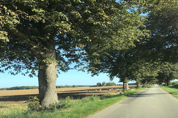 Foto van Luxe vakantieappartement in Boddin met tuin - Vakantiehuis in Walkendorf OT Boddin - AreaSummer5KM
