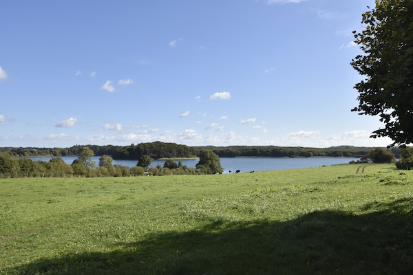 Foto van Meerretraite in Kossau - Vakantiehuis in Lebrade OT Kossau - AreaSummer1KM