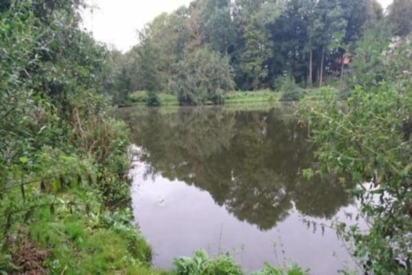 Foto van Meerretraite in Kossau - Vakantiehuis in Lebrade OT Kossau - AreaSummer20KM