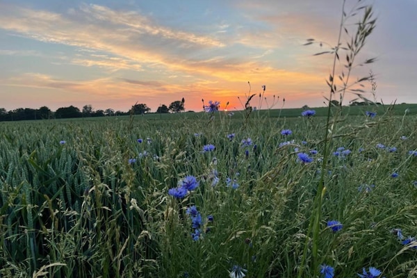 Foto van Meerretraite in Kossau - Vakantiehuis in Lebrade OT Kossau - AreaSummer20KM