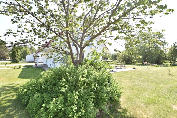 Foto van Ferienhaus vor den Toren der Insel Poel - Vakantiehuis in Hornstorf - GardenSummer
