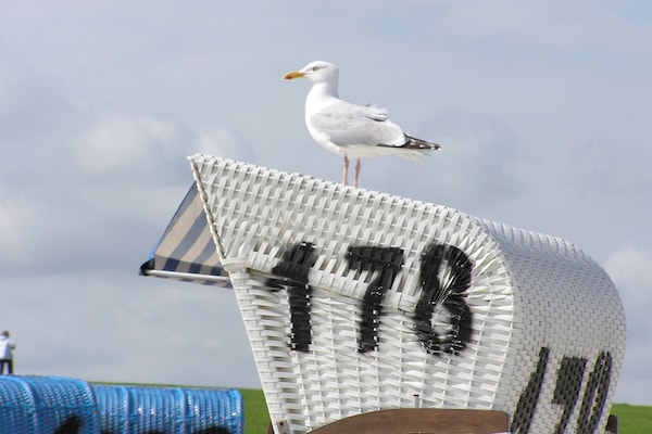 Foto van Ruime woning, Zierow - Vakantiehuis in Zierow - Ambiance