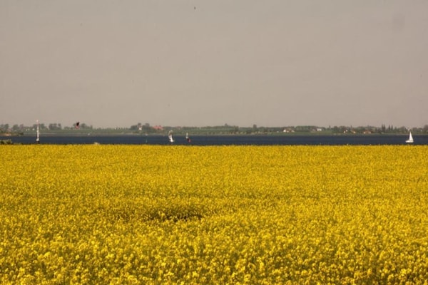 Foto van Ruime woning, Zierow - Vakantiehuis in Zierow - AreaSummer20KM