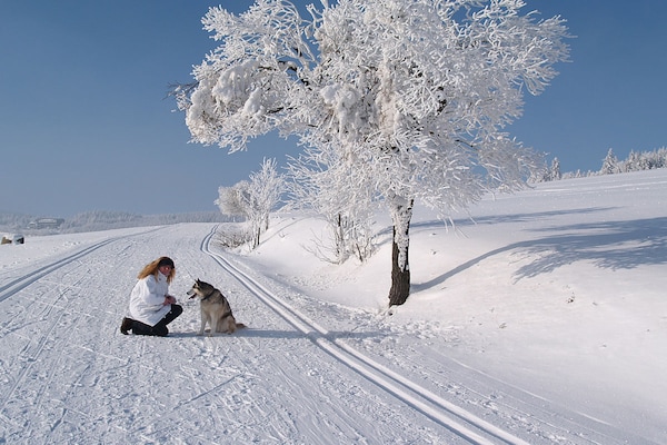 Foto van 5 in het huis Traumweide - Vakantiehuis in Oberwiesenthal - Untagged