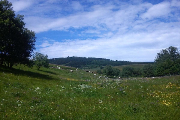 Foto van 5 in het huis Traumweide - Vakantiehuis in Oberwiesenthal - Untagged
