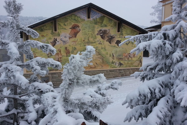 Foto van 5 in het huis Traumweide - Vakantiehuis in Oberwiesenthal - Untagged