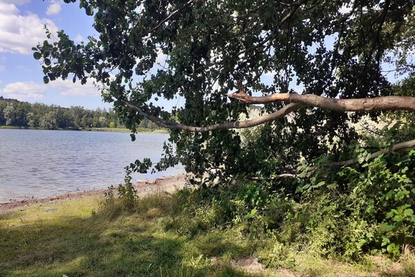 Foto van Appartement voor 6 personen in Strausberg - Vakantiehuis in Strausberg - AreaSummer1KM