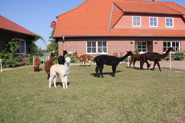 Foto van Vakantiehuis in  - Vakantiehuis in  - Untagged