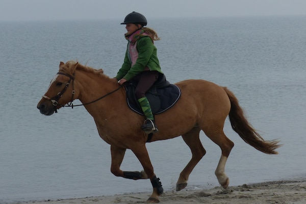 Foto van Ferienhof Fraulund - Vakantieappartement Nielueck - Vakantiehuis in Rügge - Untagged