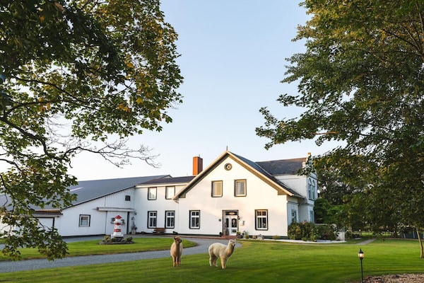 Foto van Vakantiehuis in  - Vakantiehuis in  - Untagged