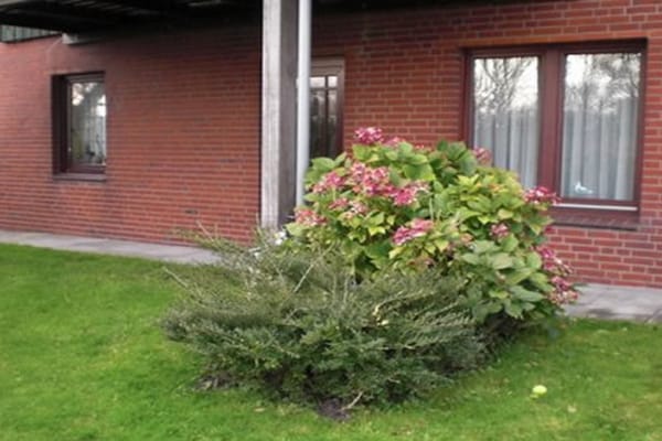 Foto van Vakantiehuis in  - Vakantiehuis in  - Untagged