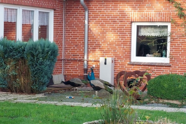 Foto van Vakantiehuis in  - Vakantiehuis in  - Untagged