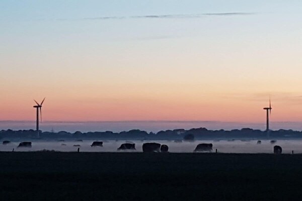 Foto van Crildummersiel Boerderij - Vakantiehuis in Wangerland, Deutschland - Untagged